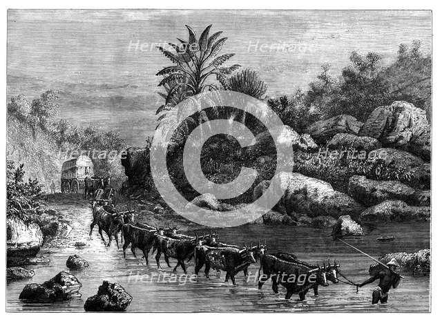 Travelling in Griqualand, South Africa, c1890. Artist: Unknown