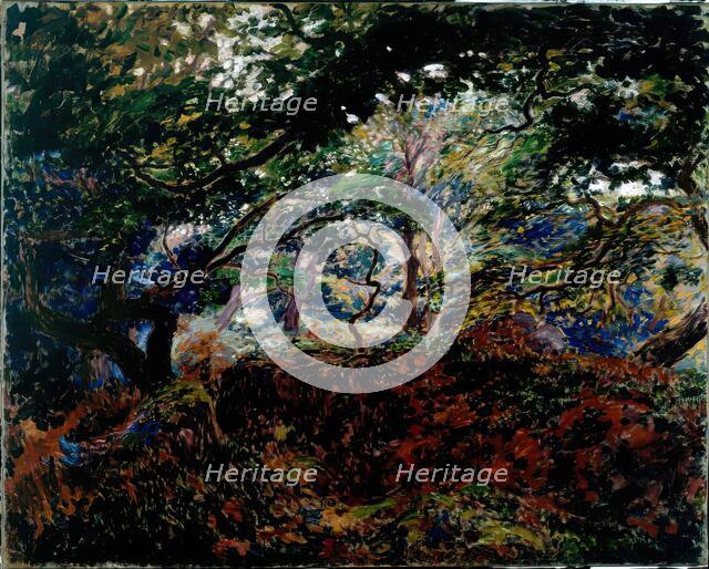 Sous-Bois, 1908-1910. Creator: Georges Lacombe.