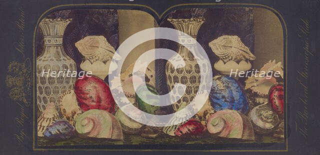 Shells and vases, about 1865. Creator: Unknown.