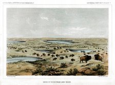 Herd of Bison Near Lake Jessie, North Dakota, USA, 1856.Artist: John Mix Stanley