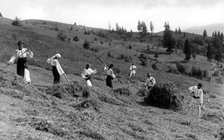 Working at harvest time, Bistrita Valley, Moldavia, north-east Romania, c1920-c1945. Artist: Adolph Chevalier