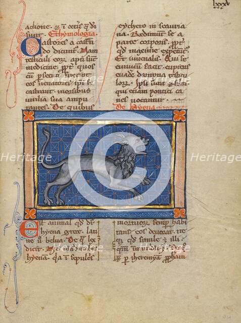 A Hyena; Bestiary, about 1270. Creator: Unknown.