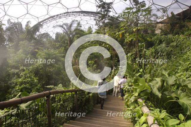 Inside the Humid Tropics Biome, Eden Project, near St Austell, Cornwall.