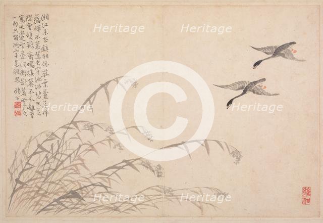 Album of Calligraphy and Paintings, 18th Century. Creator: Bian Shoumin (Chinese, 1684-1752).