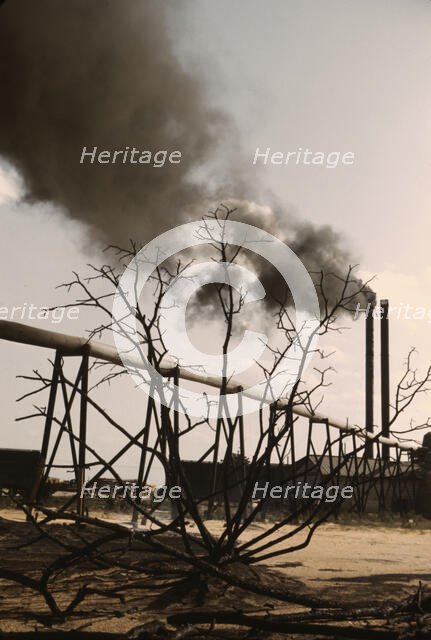Sawmill at the Greensboro Lumber Co., Greensboro, Ga., 1941?. Creator: Jack Delano.