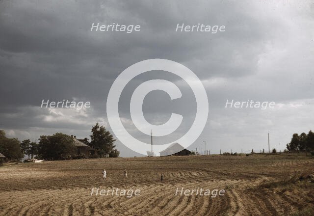 Workers going home from an afternoon of chopping cotton, Greene County, Ga., 1941. Creator: Jack Delano.