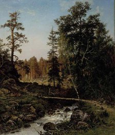 A Forest Landscape from Hauho, 1884. Creator: Hjalmar Munsterhjelm.