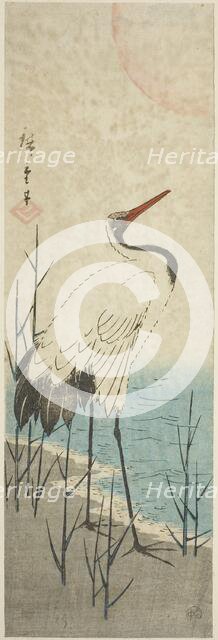 Crane and sun, c. 1843/47. Creator: Ando Hiroshige.