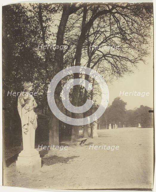 Versailles, Coin de Parc, 1904. Creator: Eugene Atget.