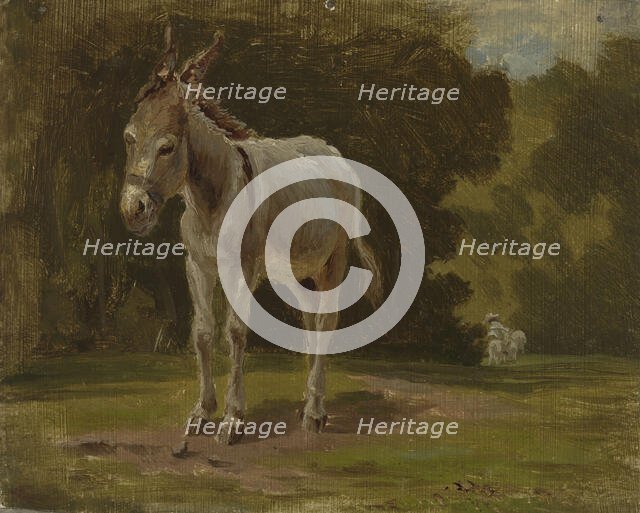 Ass, 1854. Creator: Werner Holmberg.