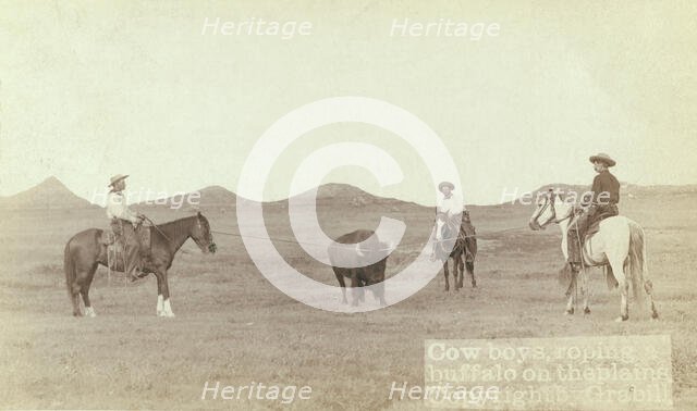 Cowboys, roping a buffalo on the plains, between 1887 and 1892. Creator: John C. H. Grabill.