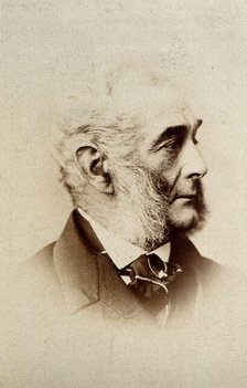 Sir Francis Grant, c1870. Creator: Elliott & Fry.
