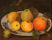 Apples gathered in Dr Jenner's garden. Creator: Stephen Jenner.