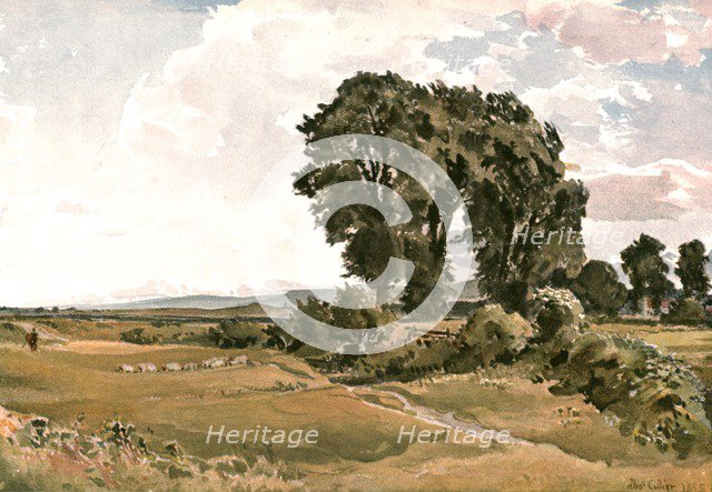 'Landscape, near Wareham, Dorset - an Outdoor Sketch', (c1900). Creator: Unknown.