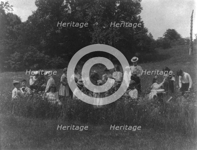 School children examining wild flowers on field trip - 1st Division, Washington, D.C..., (1899?). Creator: Frances Benjamin Johnston.