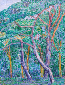 Pinewood, 1908. Creator: Heemskerck, Jacoba van (1876-1923).