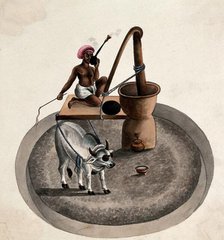 India: a man smoking a hookah whips a bullock who is drawing him..., (between 1800 and 1899?). Creator: Unknown.