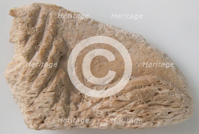 Relief Fragment, Coptic, 6th-7th century. Creator: Unknown.