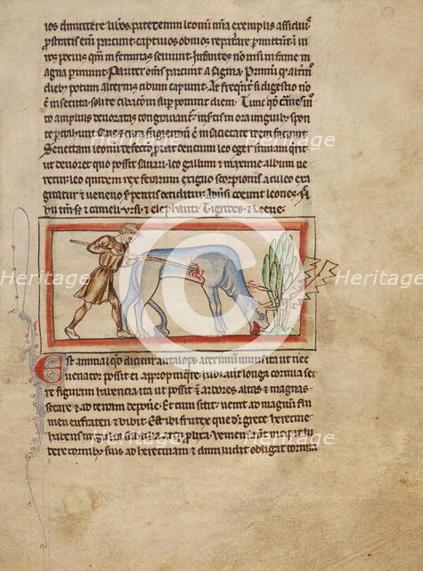 An Antelope; Northumberland Bestiary, about 1250-1260. Creator: Unknown.