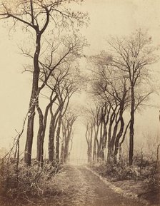 Road and Trees with Hoarfrost, 1860. Creator: Eugène Cuvelier.
