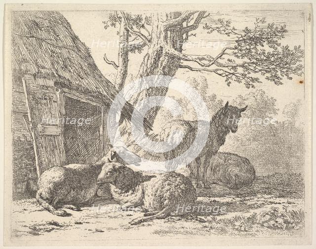 Four sheep, one sheep stands among three others lying on the ground next to a shed with th..., 1658. Creator: Karel Du Jardin.