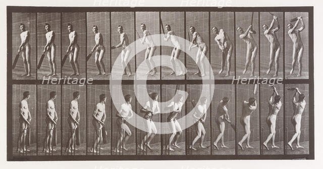 Animal Locomotion. An Electro-Photographic Investigation of Consecutive Phases of Animal ..., 1880s. Creator: Eadweard J Muybridge.