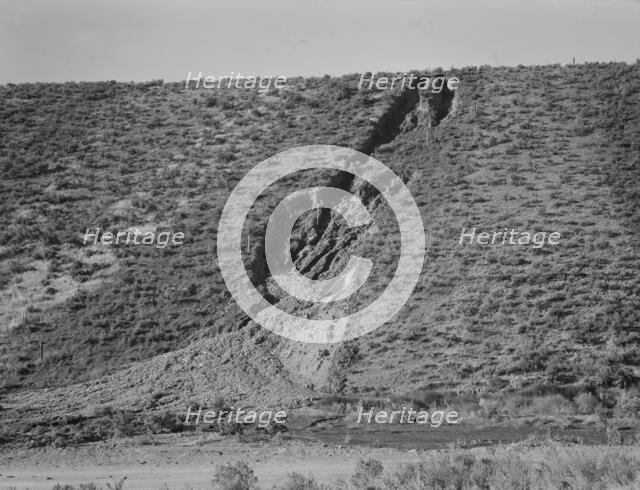 Water seepage from newly irrigated land on top of bench, eroding sides, Dead Ox Flat, Oregon, 1939. Creator: Dorothea Lange.