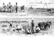 ''Sketches of Life on an Estancia in the Argentine Republic; work on the Pampas', 1891. Creator: Unknown.