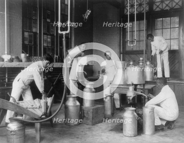 Five men making butter in a class at Hampton Institute, Hampton, Va., 1899 or 1900. Creator: Frances Benjamin Johnston.