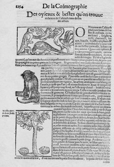 'De la Cosmographie Des oyseaux & bestes qu'on trouve en la terre de Calicuth: item du vin des arbre Artist: Unknown.