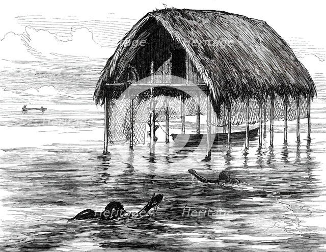 Lieutenant Cameron's Sketches in Central Africa: a lake dwelling on Lake Moheya, 1876. Creator: Unknown.