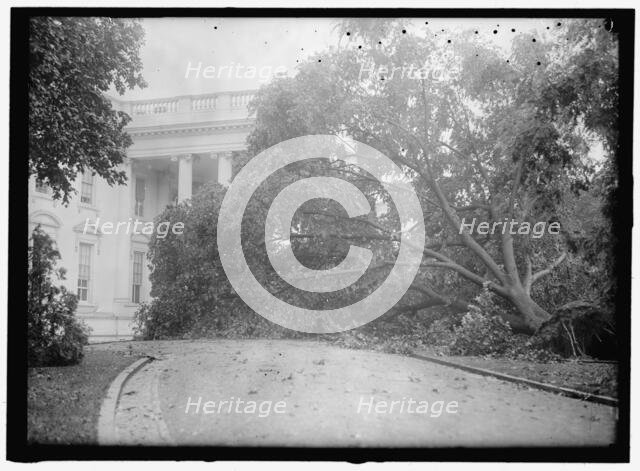 White House - storm damage, between 1913 and 1918. Creator: Harris & Ewing.