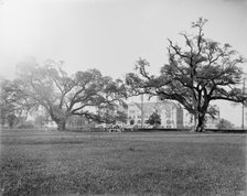Tulane University, New Orleans, Louisiana, between 1900 and 1910. Creator: Unknown.