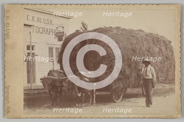 Albumen print of a man with a full hay cart, 1894-1904. Creator: E. K. Blush.
