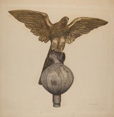 Golden Eagle, c. 1941. Creator: Clarence W Dawson.