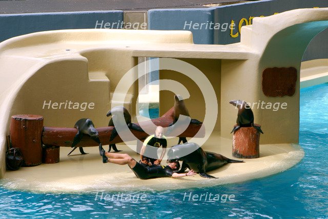 Sea lion show, Loro Parque, Tenerife, Canary Islands, 2007.