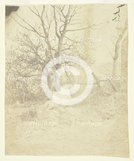 Mrs. Craik, 1850/59. Creators: Unknown, Benjamin Mulock.