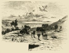 'Plain of Marathon', 1890.   Creator: Unknown.