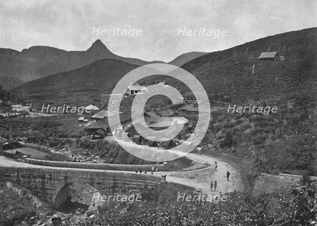 'Adamspik und Brownlow-Teepflanzung', 1926. Artist: Unknown.