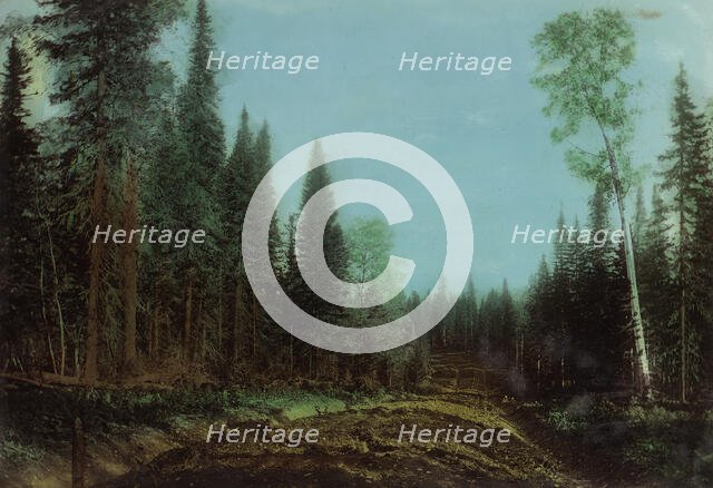 Roadbed Before Planning. Kedrovsk-Alekseevsk Road, 1906-1908. Creator: Dorozhno-Stroitel'nyi Otdel.