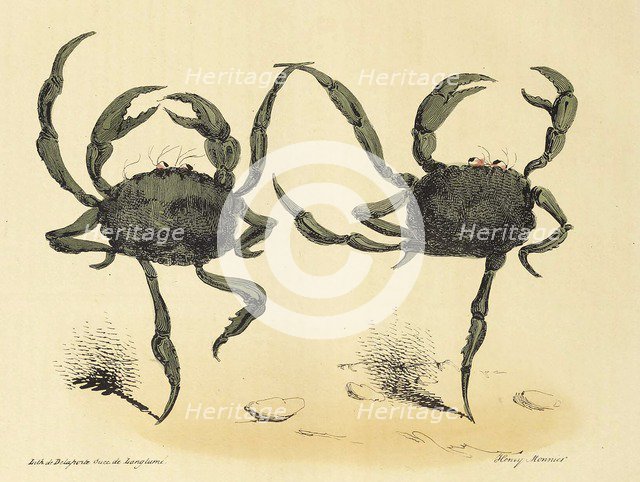 Danse Fantastique from La Caricature, pub. 1831 (lithograph), 1831. Creator: Henry Monnier (1799 - 1877).