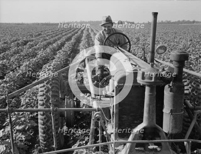 Tractor on Lake Dick project, Arkansas, 1938. Creator: Dorothea Lange.