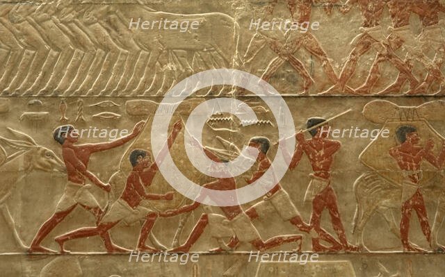 Relief detail of agricultural scene, Mastaba of Ti, Egypt, 5th Dynasty (2003). Creator: Unknown.