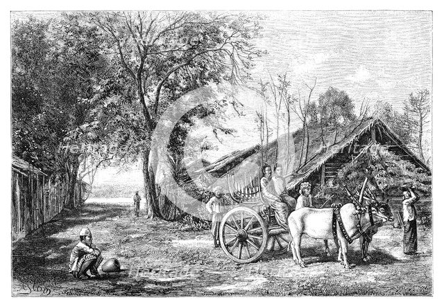 Tenasserim, Myanmar, 1895. Artist: Unknown