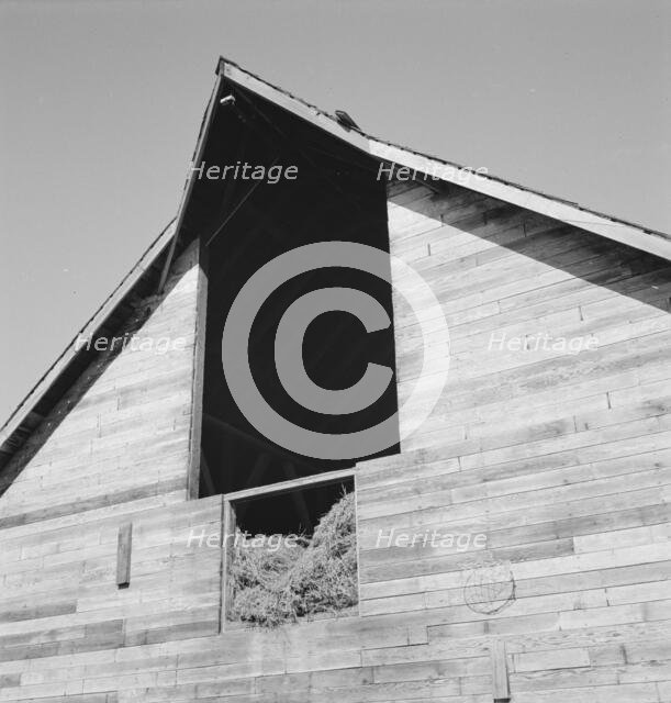 Detail of barn in northern Oregon, Irrigon, Morrow County, Oregon, 1939. Creator: Dorothea Lange.