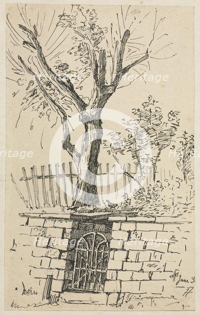 Tree on Top of a Stone Wall, Cleveland. Creator: Otto H. Bacher (American, 1856-1909).