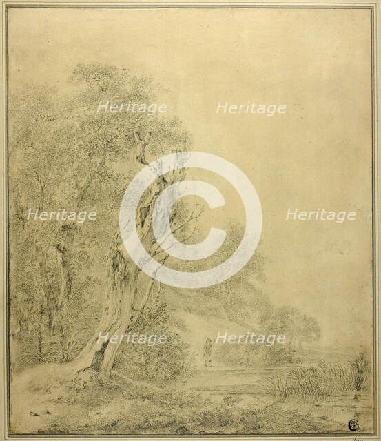Dead Tree at Water's Edge, Figure Approaching with Pole, n.d. Creator: Possibly Jacob van Ruisdael Dutch, 1628/29-1683.