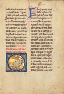 A Phoenix; De Natura Avium; De Pastoribus et Ovibus; Bestiarium, 1277 or after. Creator: Unknown.