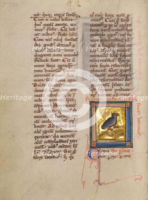 A Partridge; Bestiary, about 1270. Creator: Unknown.