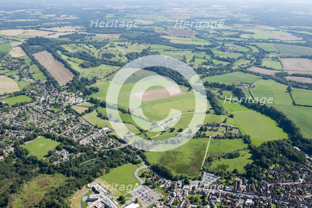 Cowdray Park, West Sussex, c2015. Artist: Damian Grady.